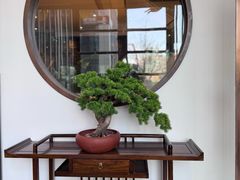-毛家饭店·30年融合新湘菜(汉峪金谷店)