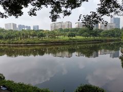 -深圳龙潭公园