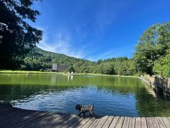 -武陵山森林公园