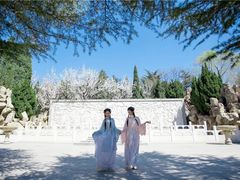 -龙口南山旅游景区