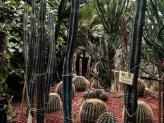 -呀路古热带植物园