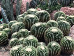 -华南国家植物园-售票处