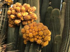 -南通洲际绿博园