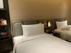 -新加坡瑞士史丹福酒店