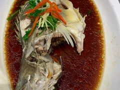 清蒸桂魚-上海老饭店(北京分店)