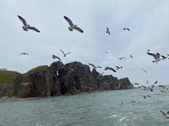 -海驴岛(荣成市)