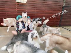 -TrueLove @ Neverland (Husky Cafe)