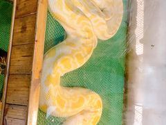 -上海大自然野生昆虫馆