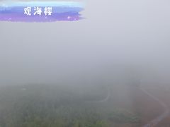 -蔡伦竹海