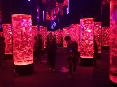 -成都浩海立方海洋公园