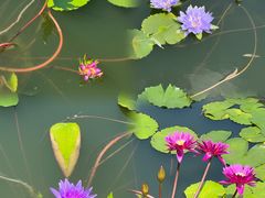 -国家植物园南园