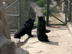 -石家庄市动物园