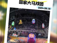-俄罗斯国家大马戏团