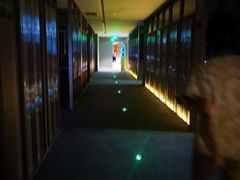 -涨巢·潮玩水疗局