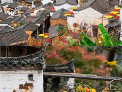 -婺源风景区