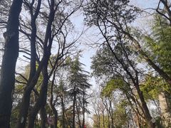 -北极阁公园