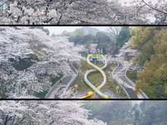 -杭州少年儿童公园