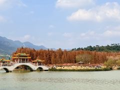 -星湖旅游景区七星岩