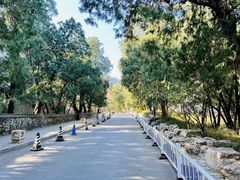 -香山公园