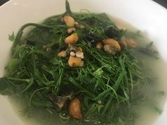 -顺德了能馆(虎门店)