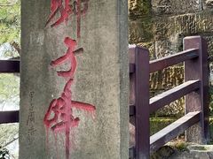 -缙云山景区