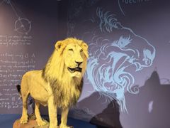 -国家自然博物馆