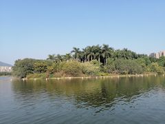 -飞来湖湿地公园