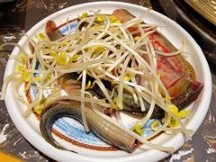 -堂客老火锅(欣阳广场总店)