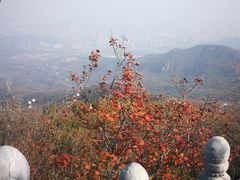 -定都阁