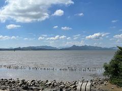 -深圳湾公园(南山区)