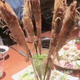 隐藏在“五大道”里面的小酒馆，看似不起眼，但是走进来
