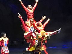-灵玲国际马戏城