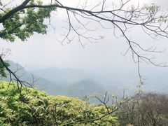 -广州市石门国家森林公园