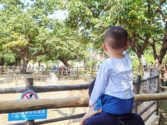 -西安秦岭野生动物园