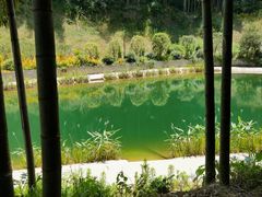 -龙坞茶村
