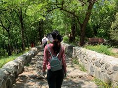 -阳台山自然风景区