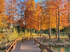 -梁鸿国家湿地公园