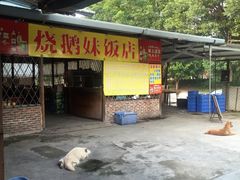 -烧鹅妹饭店
