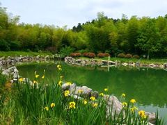 -游子山休闲旅游区