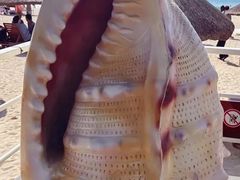 -亚龙湾海底世界