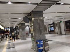 -望京西(地铁站)