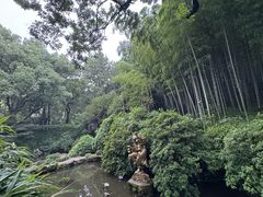 -杭州黄龙洞