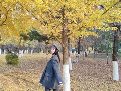 -长白岛森林公园