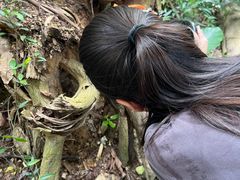-火炉山森林公园