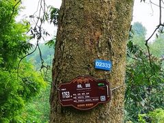 -张坝桂圆林公园