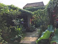 后院-老屋咖啡