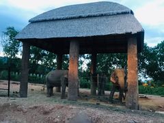 -清迈夜间动物园