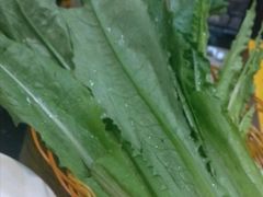 油麦菜-星璨火吧KTV聚会餐厅(丰庆路店)