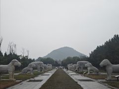 -明鲁王陵