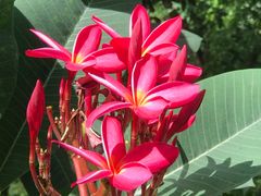 -火炉山森林公园